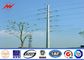 Transmisión de acero eléctrica galvanizada postes ISO9001 aprobado de Polygona los 50m proveedor