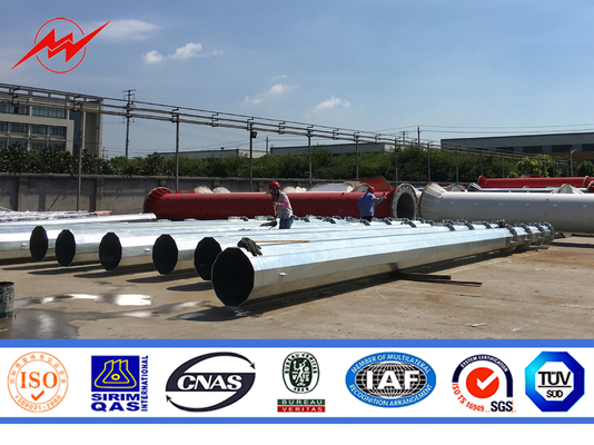 16m 800dan ASTM/A123 Galvanizado Pollo eléctrico estándar proveedor