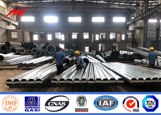 16m 800dan ASTM/A123 Galvanizado Pollo eléctrico estándar
