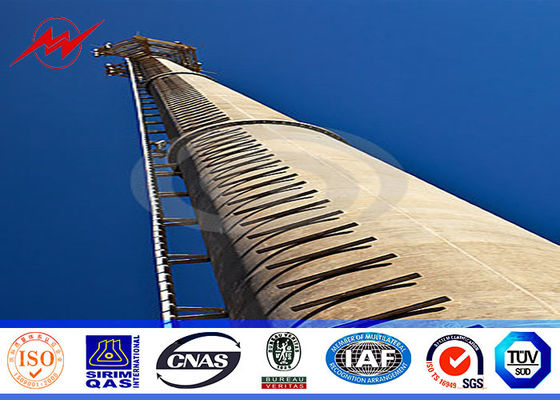 100 pies de la escalera de tipo torre monopolar galvanizada del reborde de la célula para los palos del teléfono móvil