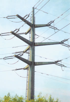 Metal galvanizado postes para uso general Filipinas de la distribución los 30FT los 35FT los 45FT 2.75m m GR65 1